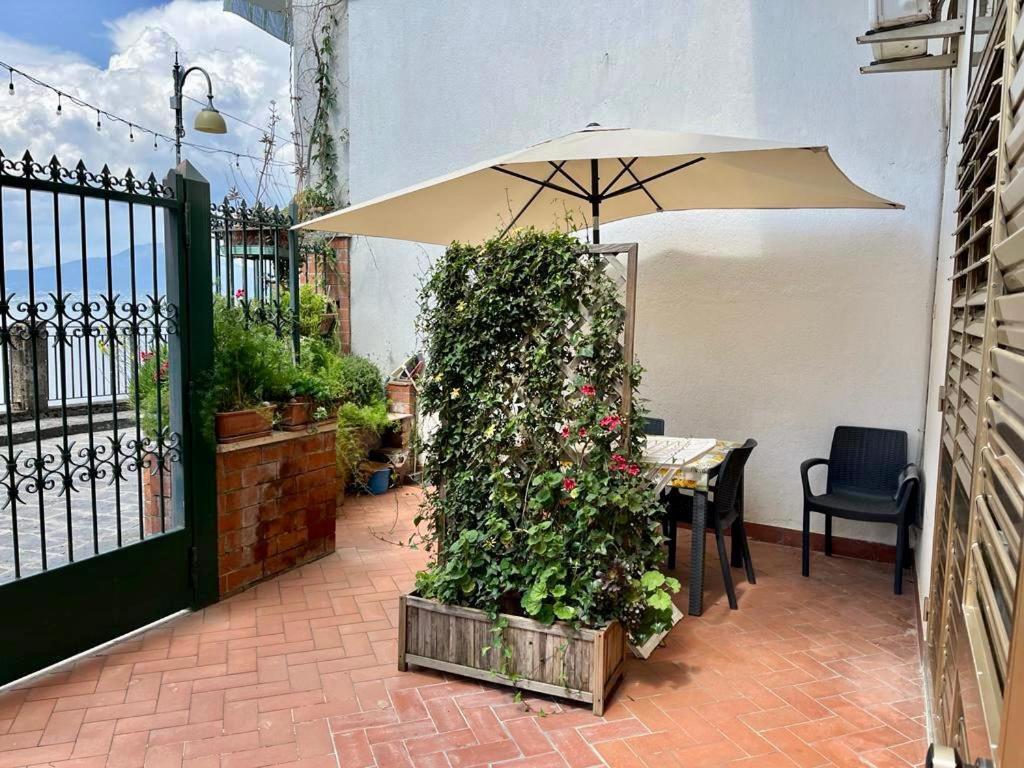 Casa Violante Apartment Vico Equense Ngoại thất bức ảnh